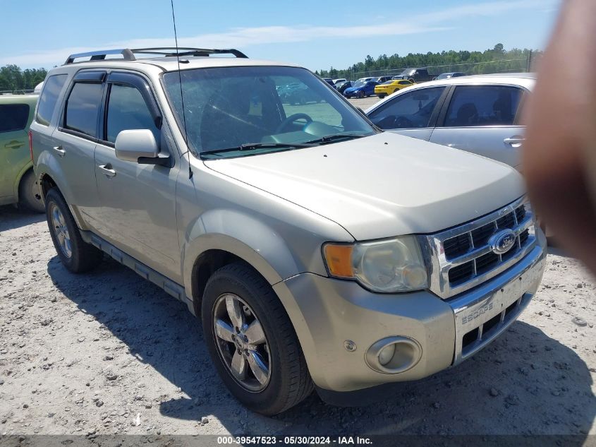 2010 Ford Escape Limited VIN: 1FMCU9EG1AKB81543 Lot: 40768143