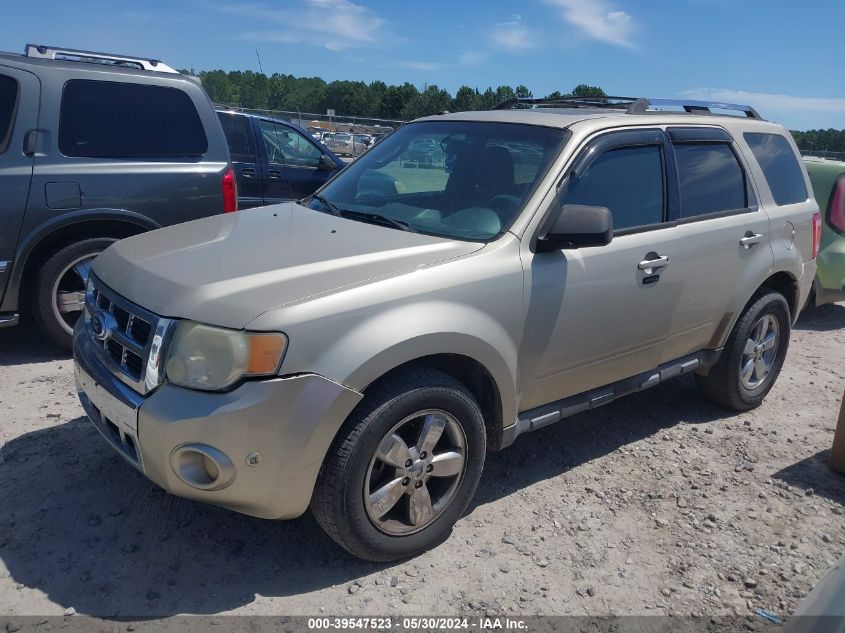 2010 Ford Escape Limited VIN: 1FMCU9EG1AKB81543 Lot: 40768143