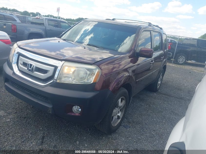 2010 Honda Pilot Ex-L VIN: 5FNYF4H66AB029099 Lot: 39548058