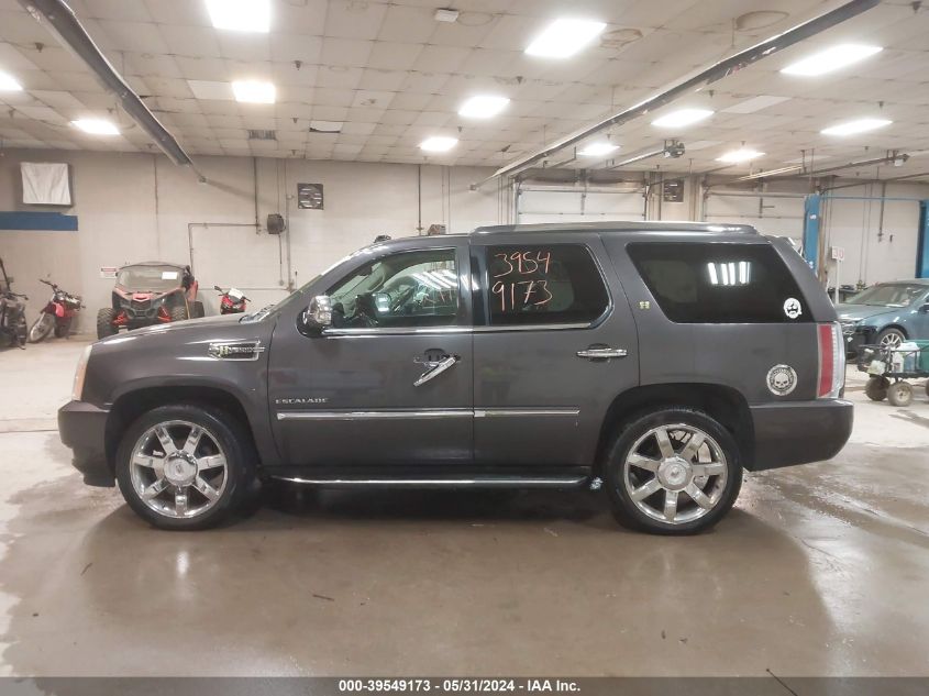 2010 Cadillac Escalade Hybrid Standard VIN: 1GYUKEEJ0AR163166 Lot: 39549173