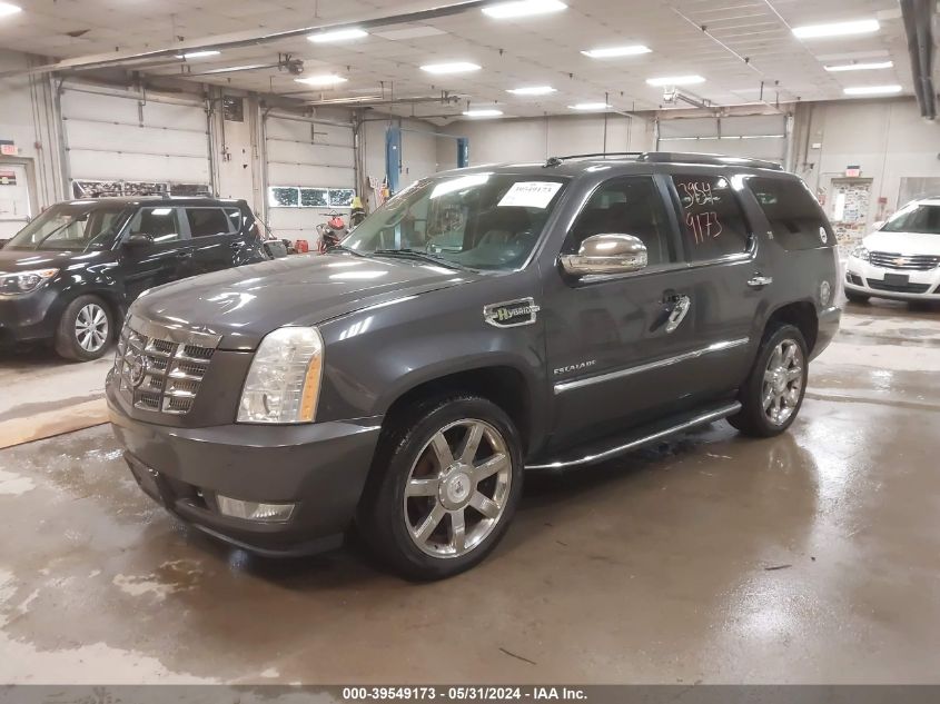 2010 Cadillac Escalade Hybrid Standard VIN: 1GYUKEEJ0AR163166 Lot: 39549173