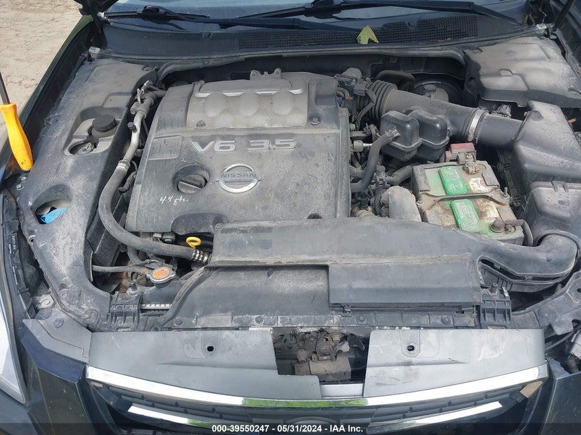 2007 Nissan Maxima 3.5 Se VIN: 1N4BA41E57C821889 Lot: 39550247