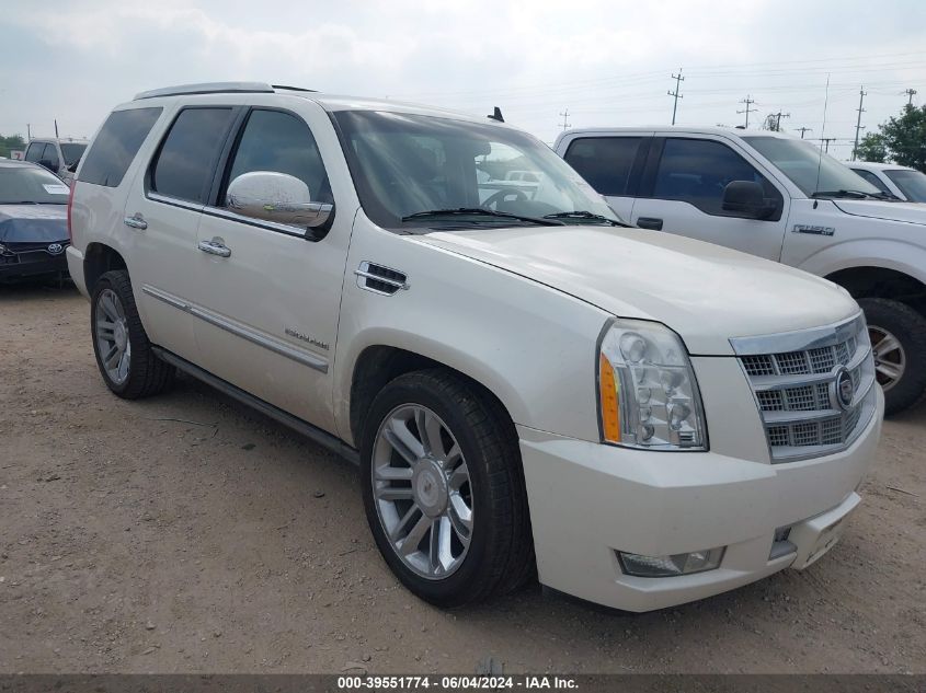 1GYUKDEF9AR230272 2010 Cadillac Escalade Platinum Edition