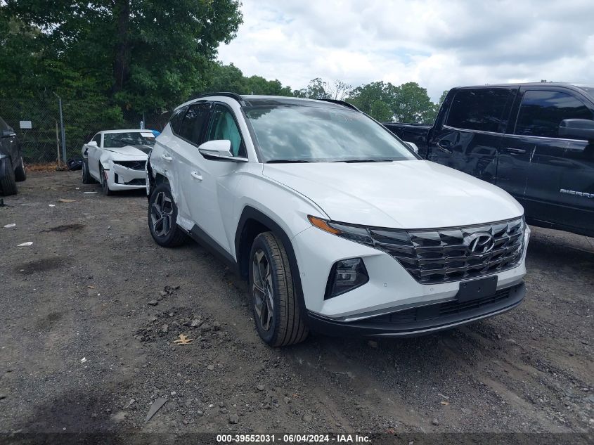 2024 Hyundai Tucson Limited VIN: 5NMJECDE1RH361442 Lot: 39552031