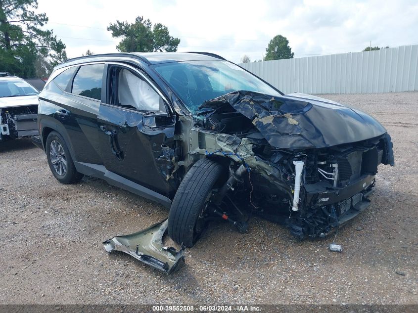 2022 Hyundai Tucson Hybrid Blue VIN: KM8JBCA19NU078067 Lot: 39552508