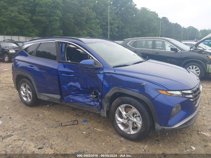 2024 Hyundai Tucson Sel VIN: 5NMJB3DE2RH302442 Lot: 39553019