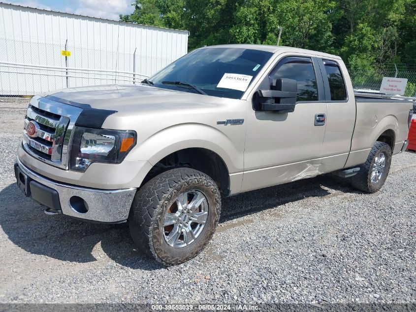 2009 Ford F-150 Fx4/Lariat/Xl/Xlt VIN: 1FTPX14V19FB06425 Lot: 39553039