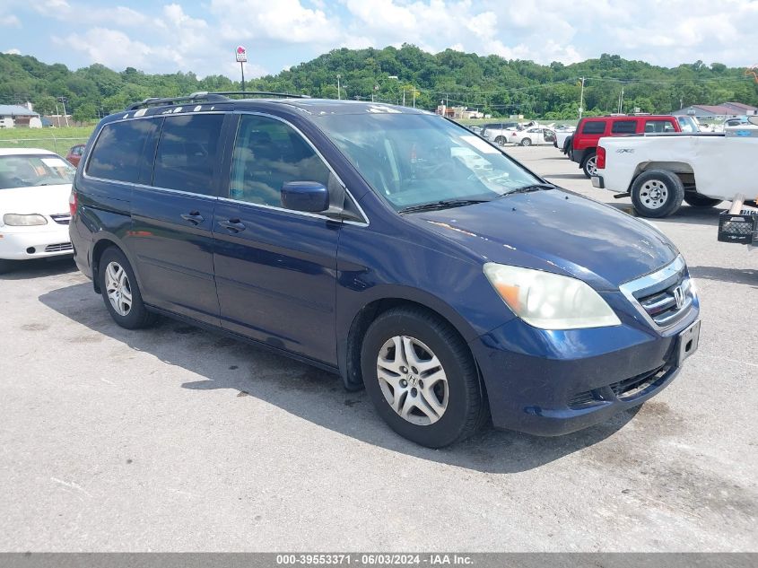 2005 Honda Odyssey Ex-L VIN: 5FNRL38655B122192 Lot: 39553371