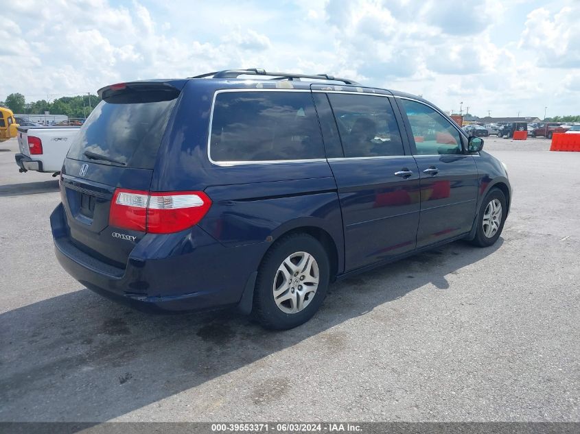 2005 Honda Odyssey Ex-L VIN: 5FNRL38655B122192 Lot: 39553371