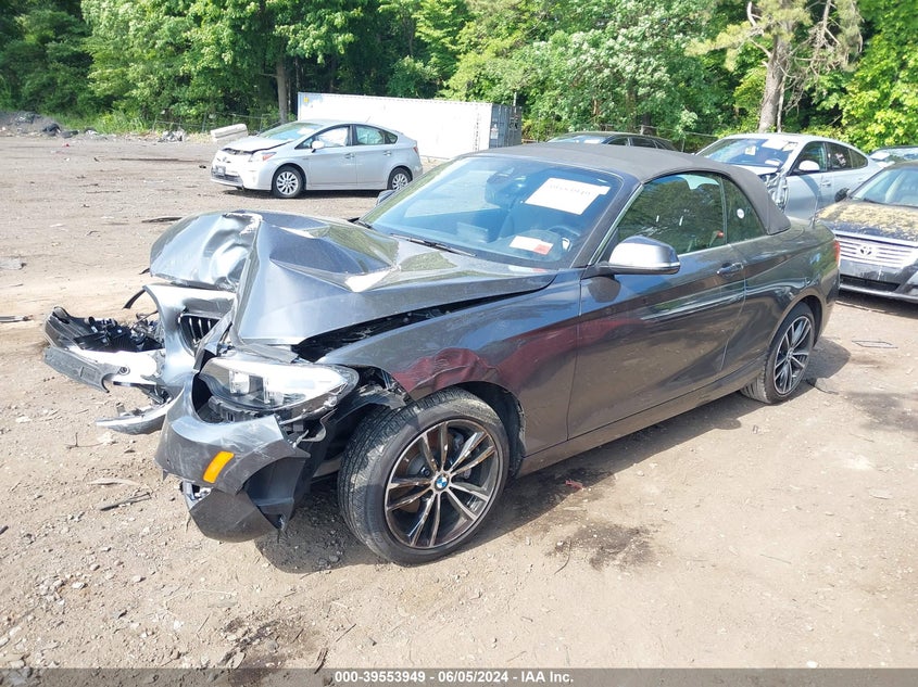 2020 BMW 230I xDrive VIN: WBA2K1C02L7E54668 Lot: 39553949