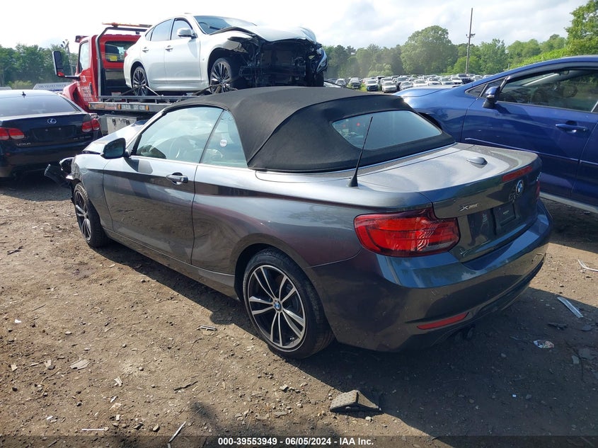 2020 BMW 230I xDrive VIN: WBA2K1C02L7E54668 Lot: 39553949