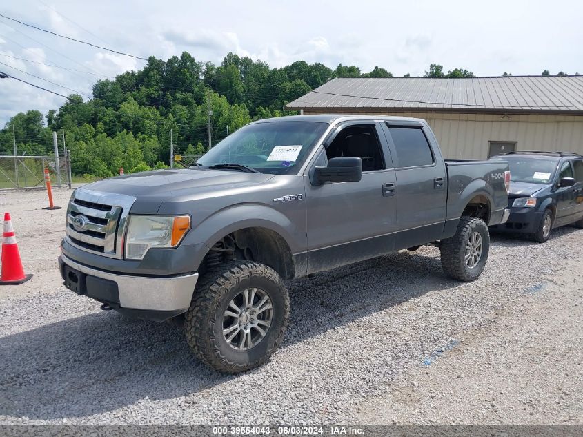 2011 Ford F-150 Xlt VIN: 1FTFW1EF1BFA96281 Lot: 39554043