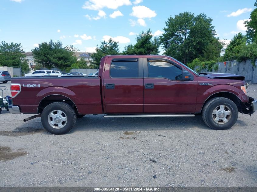 2010 Ford F-150 Xl/Xlt VIN: 1FTFW1E81AFC27077 Lot: 39554120