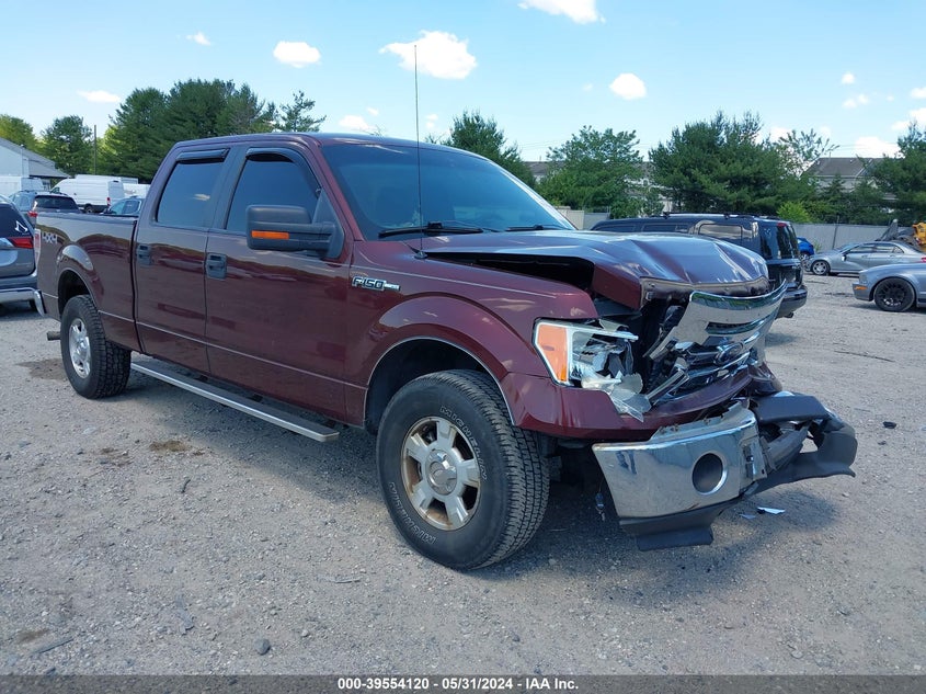 2010 Ford F-150 Xl/Xlt VIN: 1FTFW1E81AFC27077 Lot: 39554120