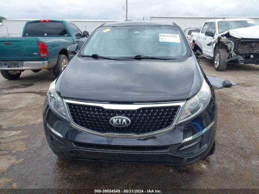 2016 Kia Sportage Lx VIN: KNDPB3AC1G7851079 Lot: 39554549