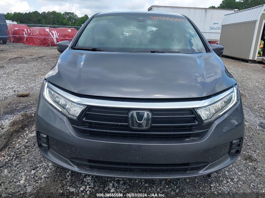 2024 Honda Odyssey Ex-L VIN: 5FNRL6H67RB025518 Lot: 39555666