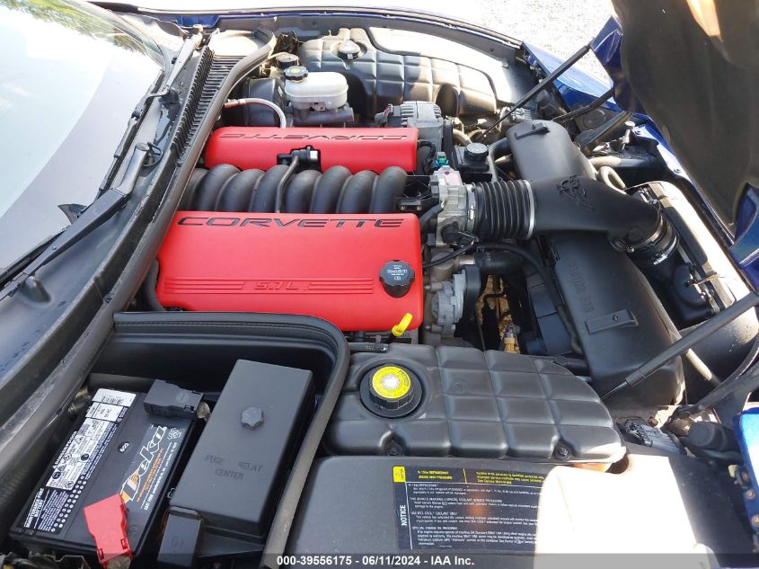 2004 Chevrolet Corvette Z06 Hardtop VIN: 1G1YY12S845117021 Lot: 39556175