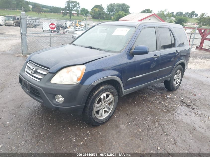 2005 Honda Cr-V Ex VIN: JHLRD788X5C005553 Lot: 39556571