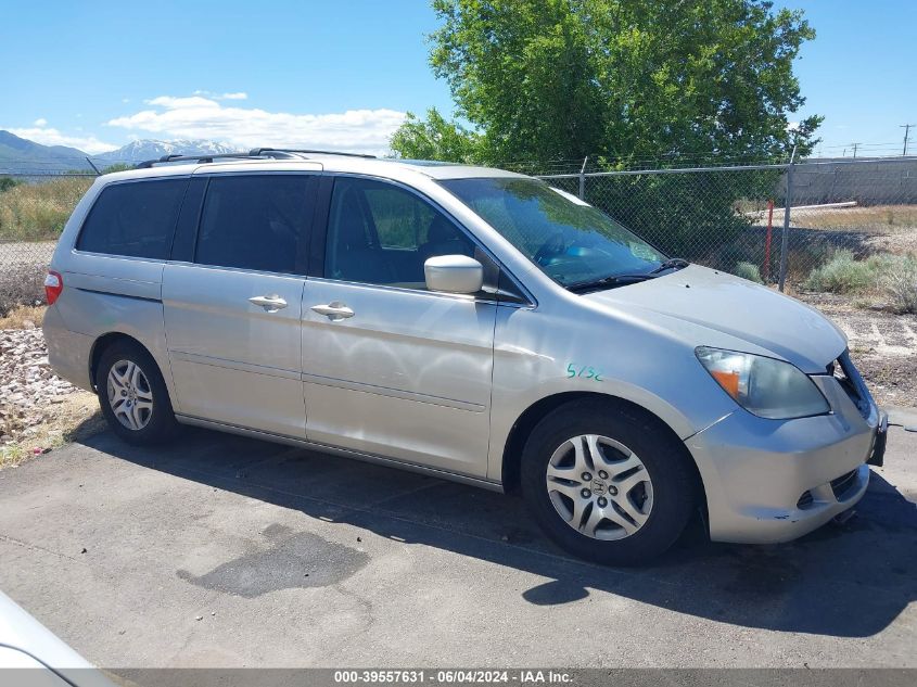 2007 Honda Odyssey Ex-L VIN: 5FNRL38737B101028 Lot: 39557631
