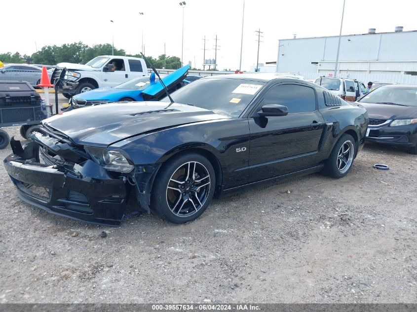 2013 Ford Mustang VIN: 1ZDBT8CF3D5262250 Lot: 39557634