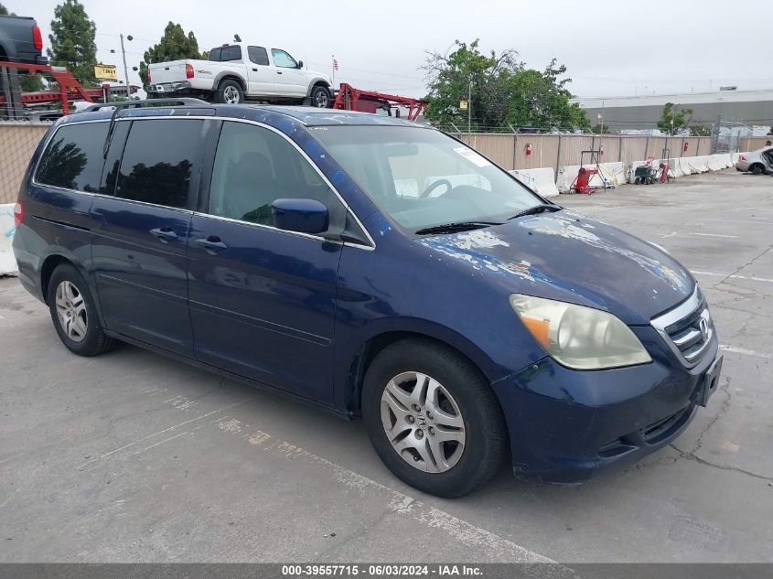 2005 Honda Odyssey Exl VIN: 5FNRL38705B064081 Lot: 39557715