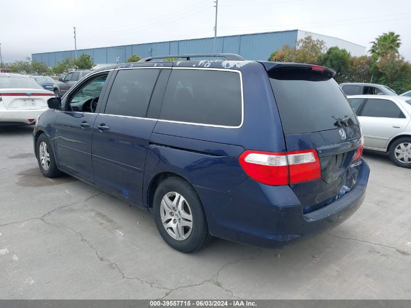 2005 Honda Odyssey Exl VIN: 5FNRL38705B064081 Lot: 39557715