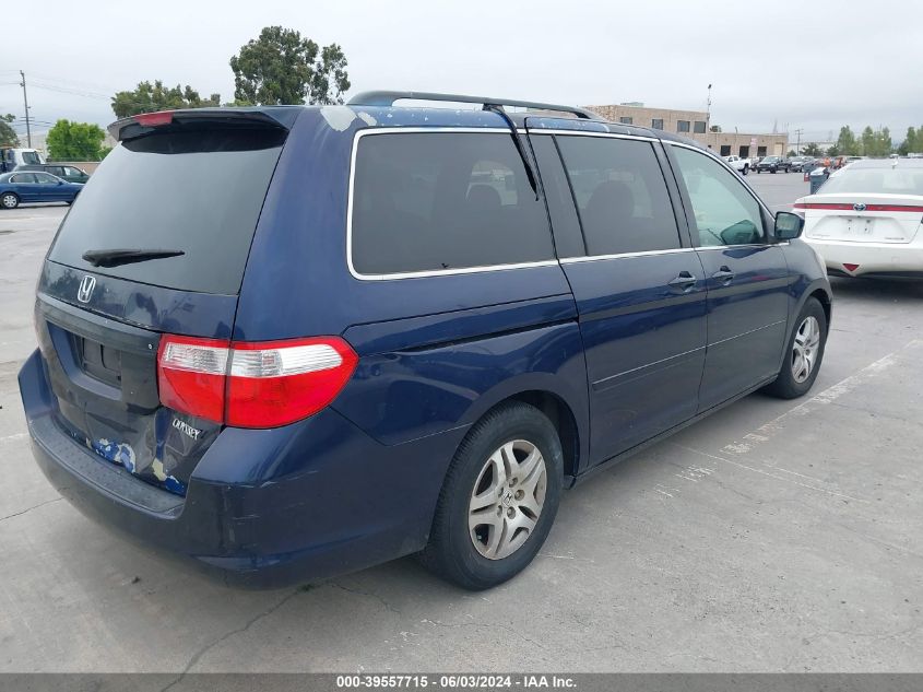 2005 Honda Odyssey Exl VIN: 5FNRL38705B064081 Lot: 39557715