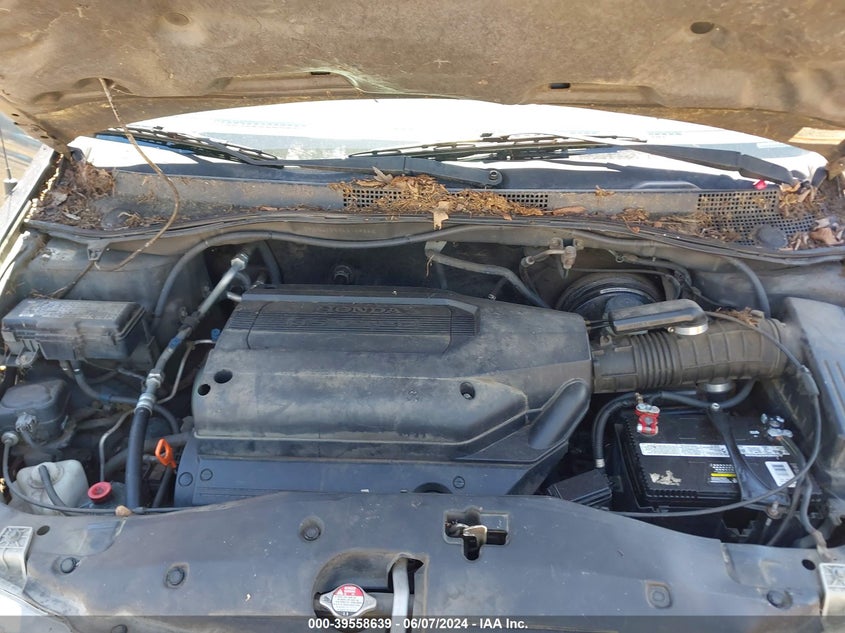 2004 Honda Odyssey Ex-L VIN: 5FNRL18994B109846 Lot: 39558639