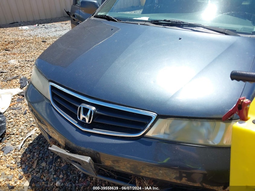 2004 Honda Odyssey Ex-L VIN: 5FNRL18994B109846 Lot: 39558639