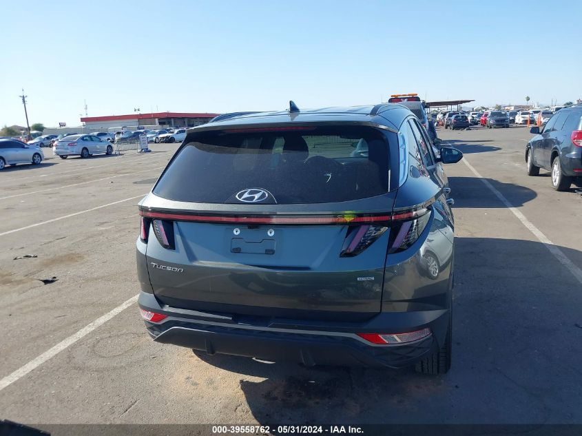 2023 Hyundai Tucson Sel VIN: 5NMJBCAE6PH196451 Lot: 39558762