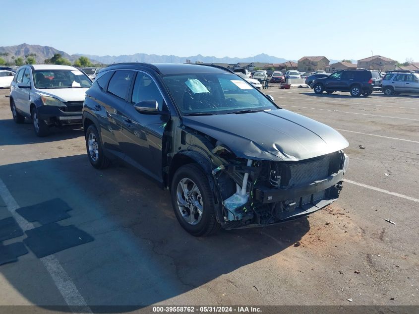 2023 Hyundai Tucson Sel VIN: 5NMJBCAE6PH196451 Lot: 39558762