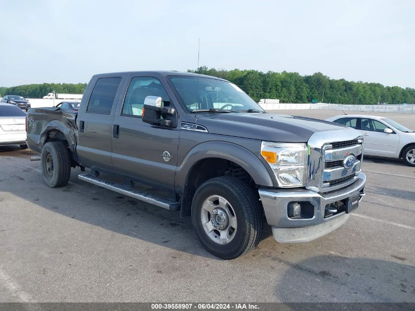 2011 Ford F-250 Xlt VIN: 1FT7W2BTXBEC56667 Lot: 39558907