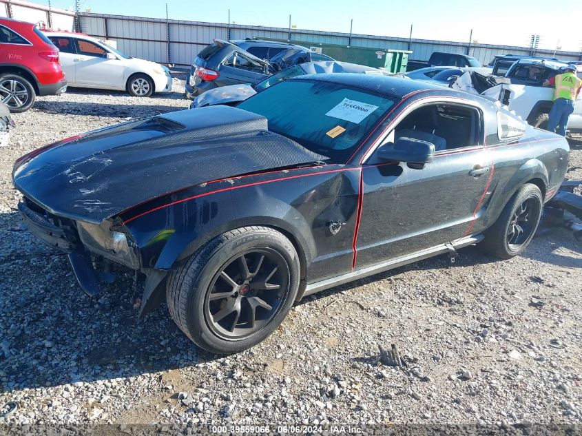 2009 Ford Mustang V6/V6 Premium VIN: 1ZVHT80N295146580 Lot: 39559066