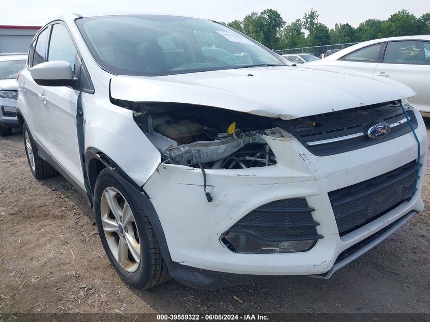2014 Ford Escape Se VIN: 1FMCU9GX7EUA78120 Lot: 39559322
