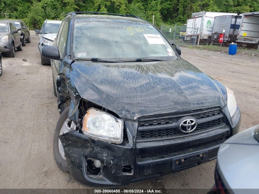 2010 Toyota Rav4 VIN: 2T3BF4DV4AW067377 Lot: 39560450