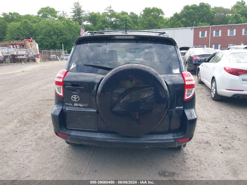 2010 Toyota Rav4 VIN: 2T3BF4DV4AW067377 Lot: 39560450