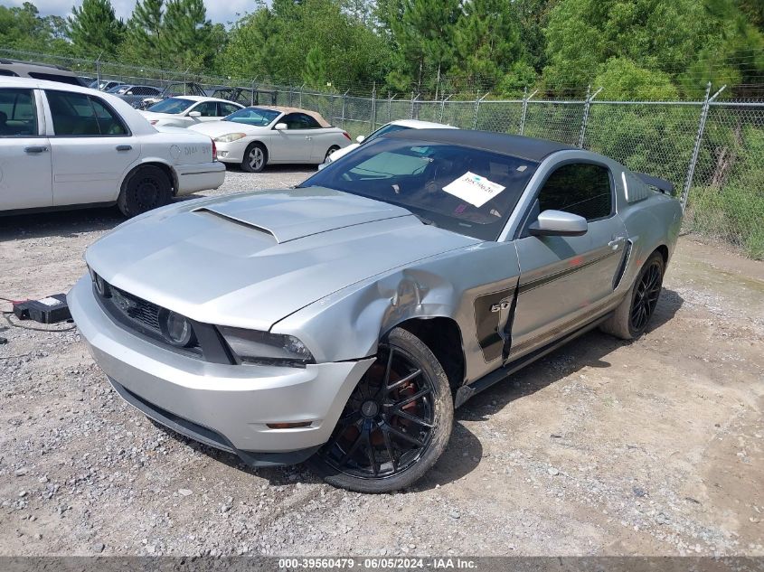 2011 Ford Mustang Gt Premium VIN: 1ZVBP8CF9B5107117 Lot: 39560479