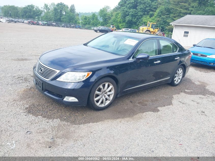 2008 Lexus Ls 460 VIN: JTHBL46F085054558 Lot: 39560562