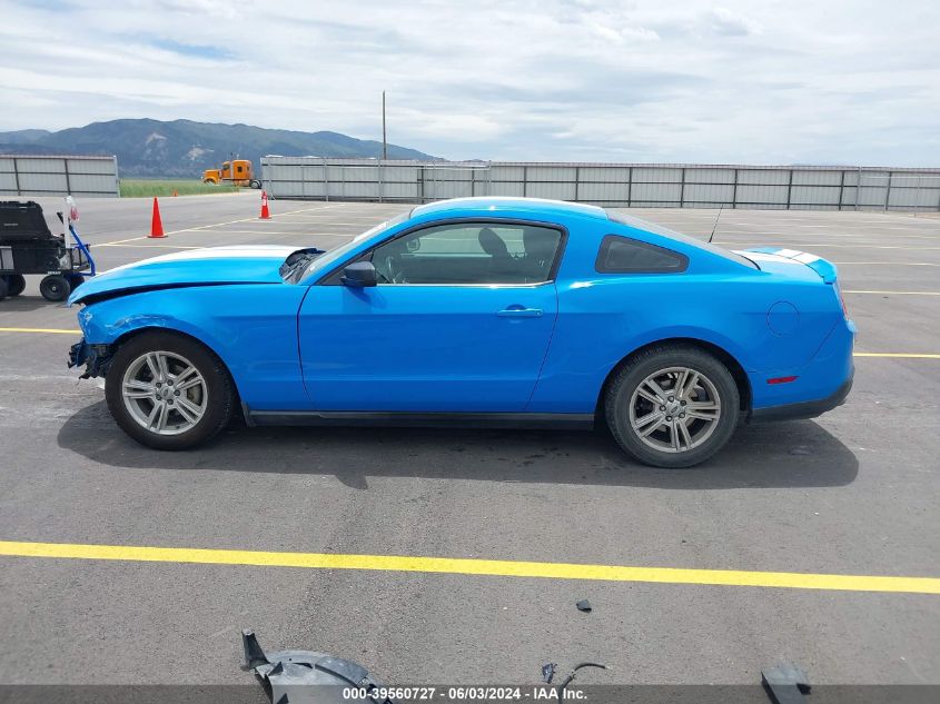 2010 Ford Mustang V6/V6 Premium VIN: 1ZVBP8AN4A5125629 Lot: 39560727