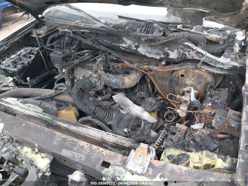 2000 Ford F-150 Work Series/Xl/Xlt VIN: 1FTZF1726YNB76245 Lot: 39560772