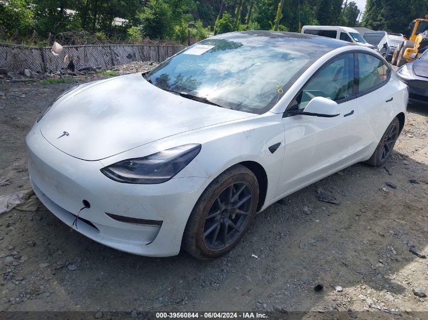 2023 Tesla Model 3 Rear-Wheel Drive VIN: 5YJ3E1EA1PF652806 Lot: 39560844