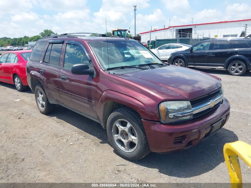 2007 Chevrolet Trailblazer Ls VIN: 1GNDT13S972196389 Lot: 39560854