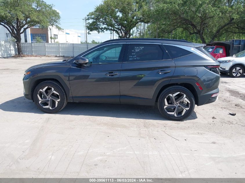 2023 Hyundai Tucson Limited VIN: 5NMJECAE6PH202336 Lot: 39561113