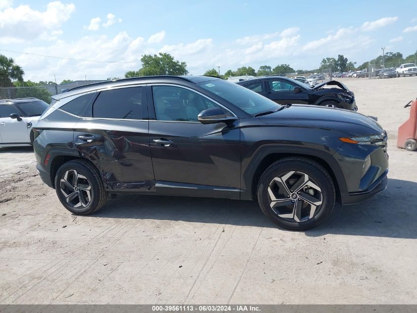 2023 Hyundai Tucson Limited VIN: 5NMJECAE6PH202336 Lot: 39561113