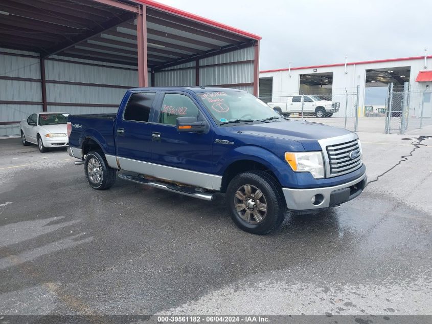 2010 Ford F-150 Fx4/Harley-Davidson/King Ranch/Lariat/Platinum/Xl/Xlt VIN: 1FTFW1EV4AFA97317 Lot: 39561182