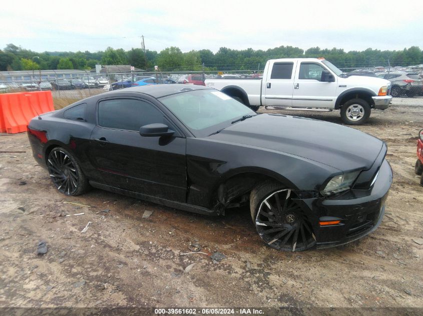 2014 FORD MUSTANG - 1ZVBP8AM4E5249221