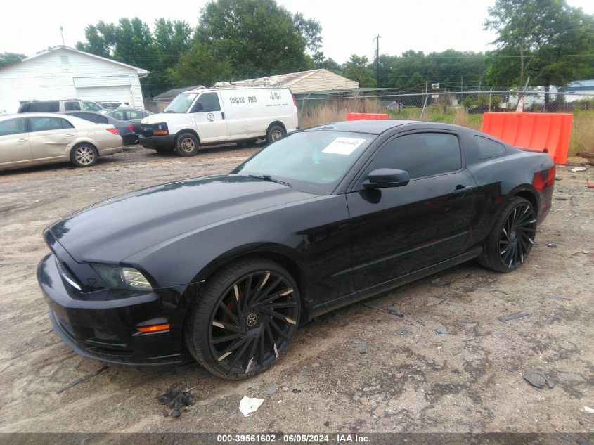 1ZVBP8AM4E5249221 2014 Ford Mustang V6