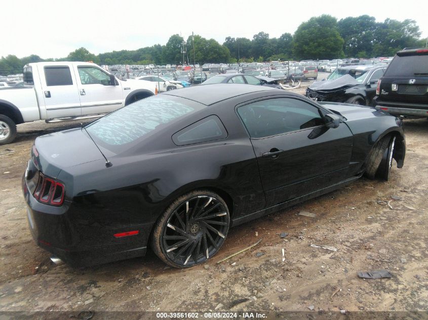 1ZVBP8AM4E5249221 2014 Ford Mustang V6