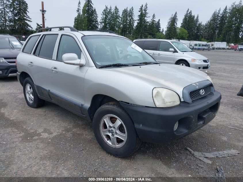 2003 Hyundai Santa Fe Gls/Lx VIN: KM8SC73D33U448491 Lot: 39563269