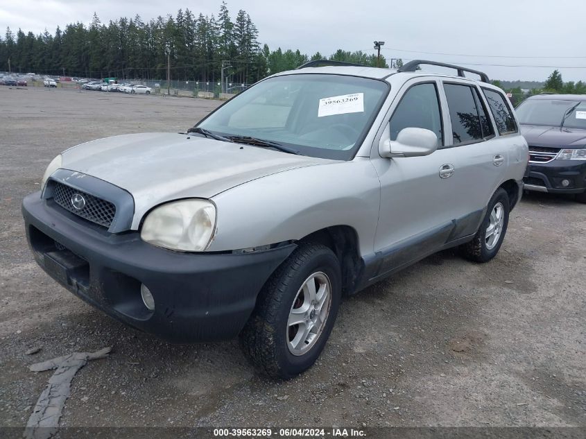 2003 Hyundai Santa Fe Gls/Lx VIN: KM8SC73D33U448491 Lot: 39563269